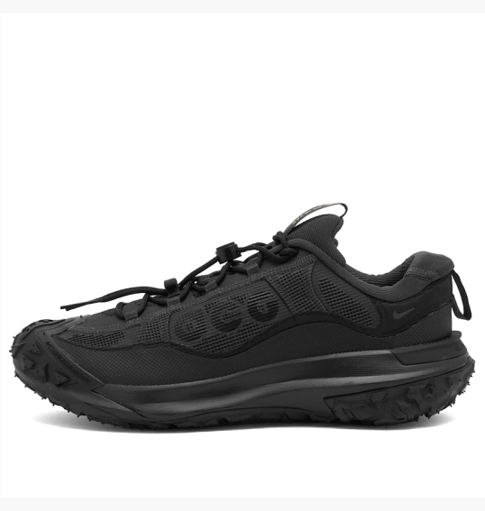 Кроссовки Nike Acg Mountain Fly 2 Low Gtx Sneaker Black HF6245-001 фото 2 — интернет-магазин Tapok