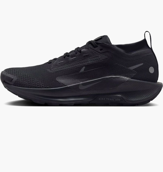 Кроссовки мужские Nike Pegasus Trail 5 Gore-Tex Black FQ0908-002 фото 1 — интернет-магазин Tapok