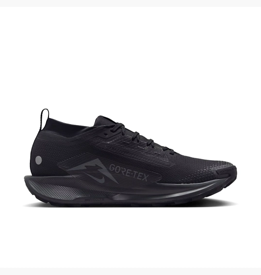 Nike Pegasus Trail 5 Gore Tex Black FQ0908 002 Tapok