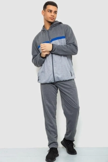 Спортивный костюм мужской Ager Серый 244R9133