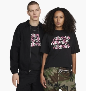Футболка NIKE U NK SB TEE OC REPEAT BRD FV3494-010