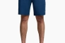 Шорти Saucony TRIUMPH 8" SHORT SAM800369-NVH Фото 1