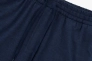 Штани спортивні Saucony TRIUMPH PANT SAM800371-NVH Фото 3