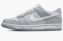 Кросівки дитячі Nike Dunk Low Two-Toned Grey Dh9765-001 Фото 1