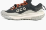 Кросівки Nike Acg Mountain Fly 2 Low Gore-Tex Grey HF6245-002 Фото 1