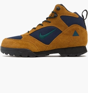 Ботинки Nike Acg Torre Mid Waterproof Brown/Blue FD0212-800