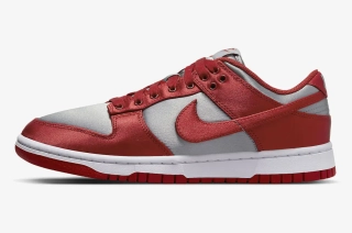 Кроссовки Nike W DU LOW ESS SR DX5931-001