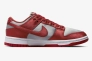 Кроссовки Nike W DU LOW ESS SR DX5931-001 Фото 10