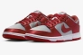 Кроссовки Nike W DU LOW ESS SR DX5931-001 Фото 12
