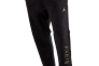 Брюки Jordan Paris Saint-Germain Black DV0621-010 Фото 1