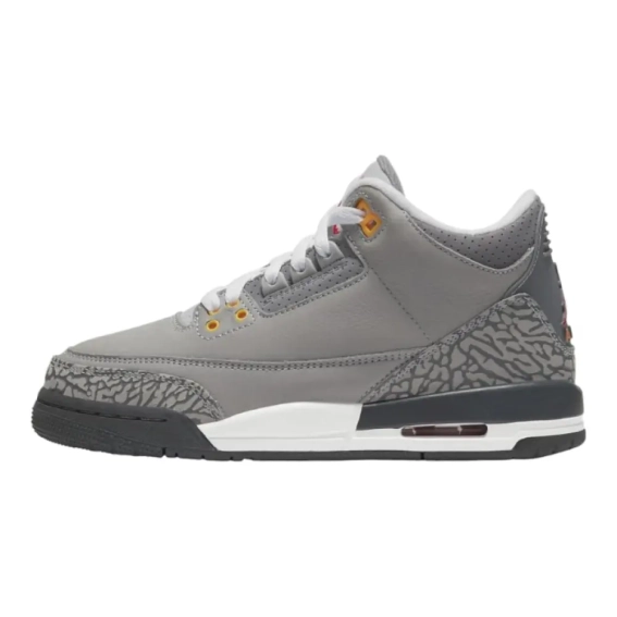 Кроссовки Jordan 3 Retro Cool Grey 2021 (GS) 398614-012 фото 1 — интернет-магазин Tapok