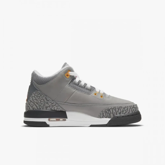 Кроссовки Jordan 3 Retro Cool Grey 2021 (GS) 398614-012 фото 2 — интернет-магазин Tapok