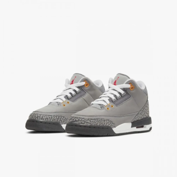 Кроссовки Jordan 3 Retro Cool Grey 2021 (GS) 398614-012 фото 5 — интернет-магазин Tapok