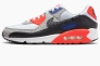 Кросівки Nike Air Max 90 Kiss My Airs Infrared Safari FD9753-100 Фото 1
