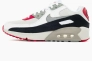 Кроссовки Nike Air Max 90 LTR Photon Dust Varsity Red (GS) CD6864-019 Фото 1