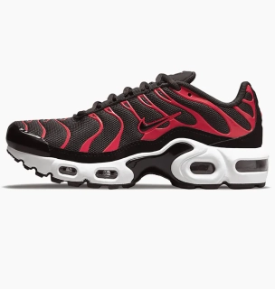 Кроссовки Nike Air Max Plus Bred (2021) (GS) CD0609-200