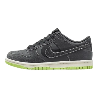 Кроссовки Nike Dunk Low Halloween (2022) (GS) Iron Grey DQ6215-001