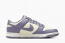 Кросівки Nike Dunk Low Next Nature Daybreak (W) FZ4349-100 Фото 4