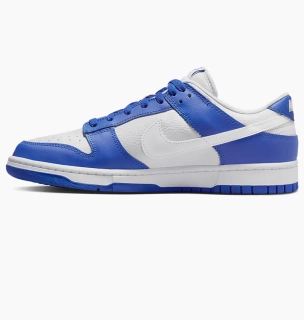 Кроссовки Nike Dunk Low Racer Blue Photon Dust FN3416-001