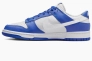 Кроссовки Nike Dunk Low Racer Blue Photon Dust FN3416-001 Фото 1