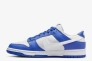 Кроссовки Nike Dunk Low Racer Blue Photon Dust FN3416-001 Фото 3