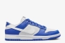 Кроссовки Nike Dunk Low Racer Blue Photon Dust FN3416-001 Фото 4