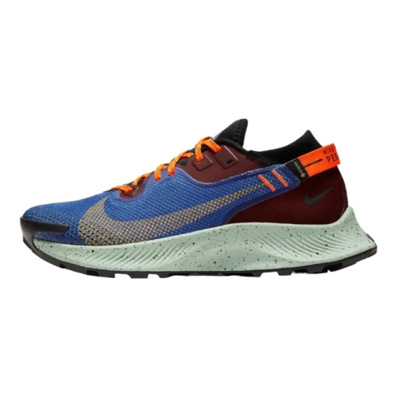Кроссовки Nike Pegasus Trail 2 Gore-Tex Mystic Dates Astronomy Blue (W) CU2018-600 фото 1 — интернет-магазин Tapok