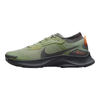 Кроссовки Nike Pegasus Trail 3 Gore Tex Green Black DO6728-300