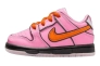 Кросівки Nike SB DU LOW PRO QS TD FZ3352-600 Фото 1