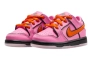 Кросівки Nike SB DU LOW PRO QS TD FZ3352-600 Фото 2