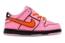 Кросівки Nike SB DU LOW PRO QS TD FZ3352-600 Фото 5