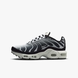 Кроссовки Nike TN Air Max GS Black Metallic Cool Grey CD0609-026