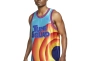 Майка Nike Dri-FIT Space Jam DJ3864-434 Фото 1