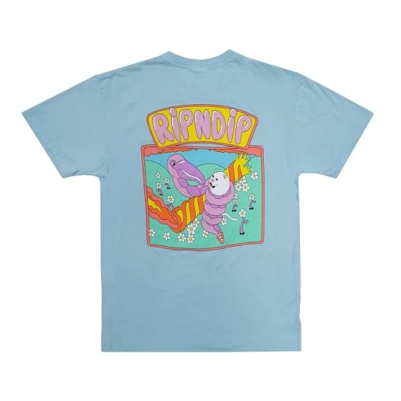 Футболка RIPNDIP Flamingo RND4342 фото 3 — интернет-магазин Tapok