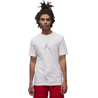 Футболка Air Jordan Brand Jfx Ss Crew2  Anti-Gravity Machines White FD7029-100