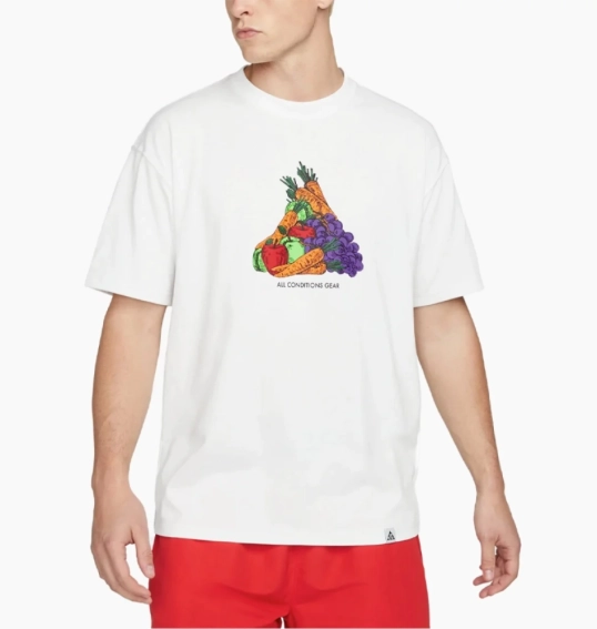 Футболка Nike Acg Fruit & Veggies White DQ4954-121 фото 1 — інтернет-магазин Tapok