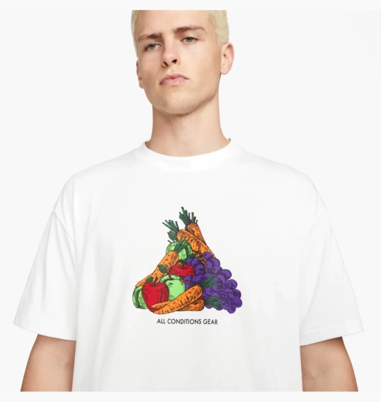 Футболка Nike Acg Fruit & Veggies White DQ4954-121 фото 3 — інтернет-магазин Tapok