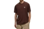 Футболка Nike Dri-FIT ADV ACG Goat Rocks T-Shirt DX7882-227 Фото 1