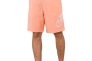 Шорти Nike M Nsw Spe Wvn Lnd Short Alumni DB3810-808 Фото 5