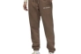 Штани Jordan Brand Wordmark Pants Wmns Palomino DV6471-270 Фото 1
