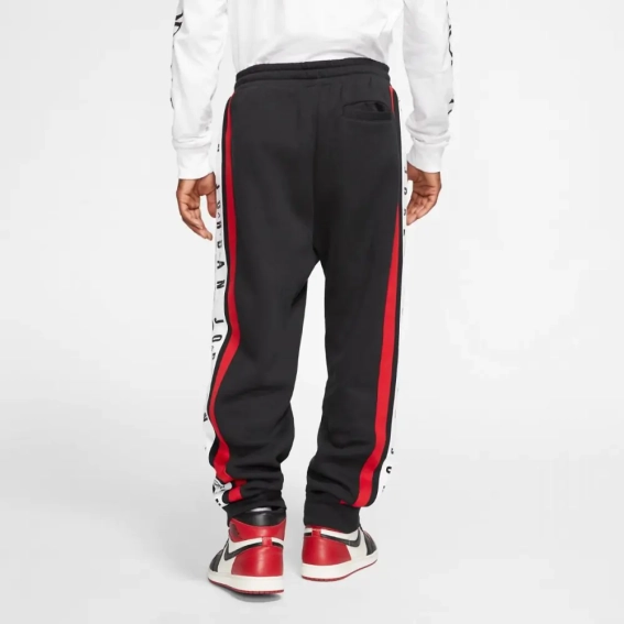 Брюки Jordan Colorblocked Fleece BQ5664-010 фото 3 — интернет-магазин Tapok