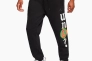 Брюки JORDAN WHY NOT? PANT DD3329-010 Фото 1