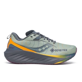 Кроссовки для бега Saucony TRIUMPH 22 GTX S20966-254