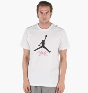 Мужская футболка NIKE JUMPMAN FLIGHT HBR TEE AO0664-100