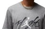 Мужская футболка NIKE M Jordan BRAND GFX SS CREW2 FB7465-091 Фото 3