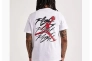 Мужская футболка NIKE M Jordan BRAND GFX SS CREW2 FB7465-100 Фото 2