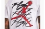 Мужская футболка NIKE M Jordan BRAND GFX SS CREW2 FB7465-100 Фото 3