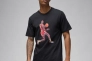 Мужская футболка с длинным рукавом NIKE M Jordan FLT ESS GFX SS CREW FN6000-010 Фото 1