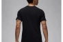 Мужская футболка NIKE M Jordan BRAND SS HBR CREW FN6025-010 Фото 2
