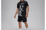 Мужская футболка NIKE M Jordan BRAND SS HBR CREW FN6025-010 Фото 4